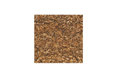 Image of Hamat Kokosmatte Ruco 40x60 cm bei JUMBO