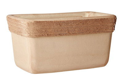 Image of Degrea Balkonkasten Arena Graffiato 39.5x18.5 cm bei JUMBO