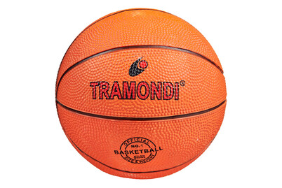 Image of Tramondi Minibasketball