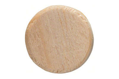 Image of Bosch Holz Zapfen 40 Stück 20mm 255321 bei JUMBO