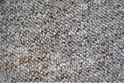 Image of Teppich Ascona beige 5 m bei JUMBO