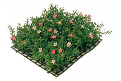Image of Blütenteppich 25x25 cm pink