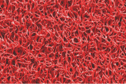 Image of Schmutzschleuse Curly rot 120 cm bei JUMBO