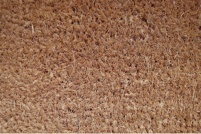 Image of Kokosmatte Ruco 200 cm bei JUMBO