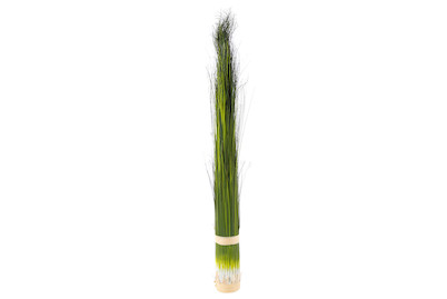 Image of Luwatex Pennisetum gebunden 73 cm grün bei JUMBO