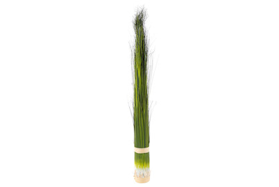 Image of Luwatex Pennisetum gebunden 73 cm grün