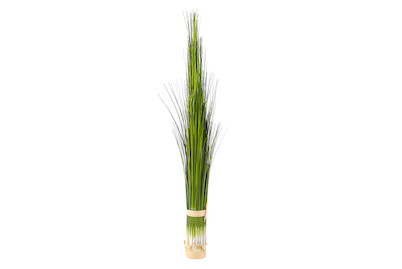 Image of Luwatex Pennisetum gebunden 46 cm grün bei JUMBO