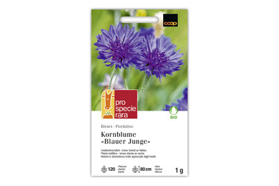 Image of ProSpecieRara Bio Kornblume Blauer Junge bei JUMBO