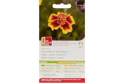 Image of PSR Bio Sammetblume Ehrenlegion bei JUMBO