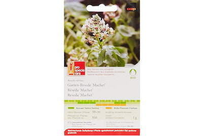 Image of ProSpecieRara Bio Garten-Reseda Machet bei JUMBO