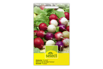 Image of Radieschen Rainbow Mischung bei JUMBO