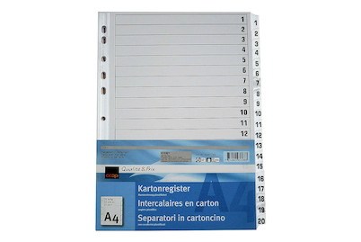 Image of Qualité&Prix Kartonregister weiss A4 20 teilig bei JUMBO
