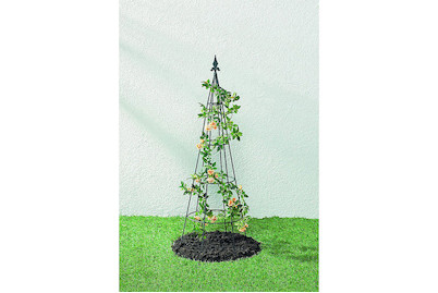 Image of Old Garden Obelisk Pedro 80 cm bei JUMBO