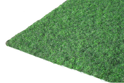 Image of Rasenteppich Polotto grün 2 m