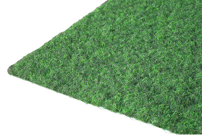 Image of Rasenteppich Polotto grün 4 m