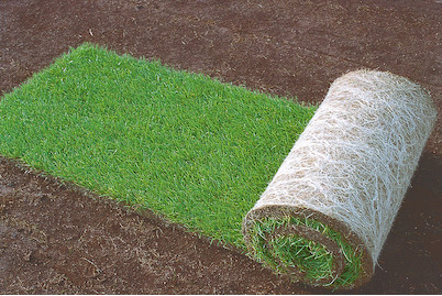 Image of Schweizer Rollrasen 1m2 bei JUMBO