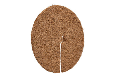 Image of Windhager Coco Disc natur ø 25 cm bei JUMBO