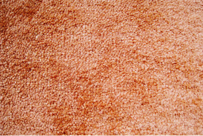 Image of Teppich Versailles terracotta 4 m bei JUMBO