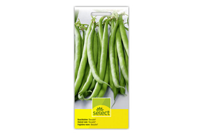 Image of Buschbohne Beaufort bei JUMBO