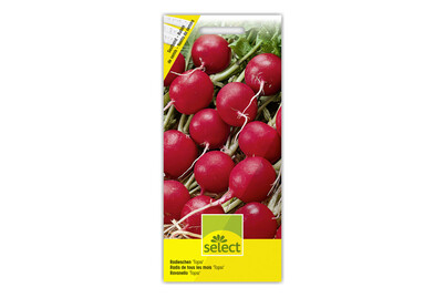 Image of Select SB Radieschen Topsi bei JUMBO