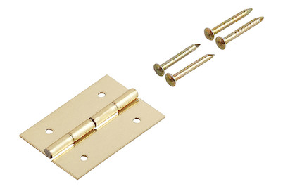 Image of Scharniere vermessingt 30x17 mm bei JUMBO