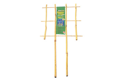 Image of Windhager Blumenstütze Bambus 60x30 cm natur bei JUMBO