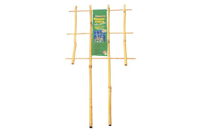 Image of Windhager Blumenstütze Bambus 85 x 32 cm natur bei JUMBO