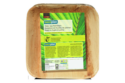 Image of Palmblatt Teller 17cm quadratisch 10 Stück bei JUMBO