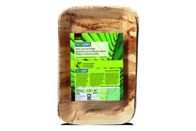 Image of Palmblatt Teller 16x24cm 10 Stück bei JUMBO