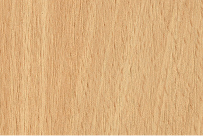 Image of Melaminkante Buche hell 5m 23mm bei JUMBO