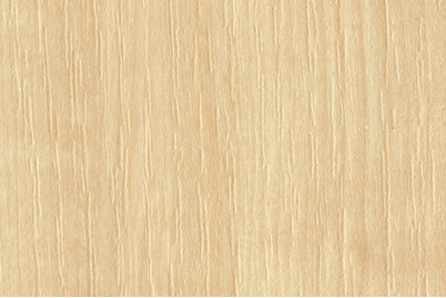 Image of Melaminkante Ahorn 5m 23mm bei JUMBO