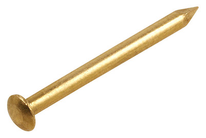 Image of Messingstift halbrund 1.0x10 mm bei JUMBO