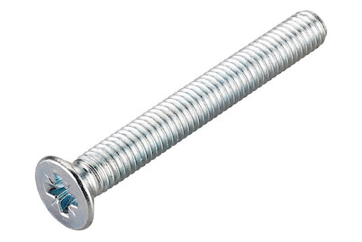 Image of Senk-Metallschraube verzinkt M6x60 mm 6 Stück bei JUMBO