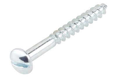 Image of Holzschraube halbrund verzinkt 3.0x16 mm bei JUMBO