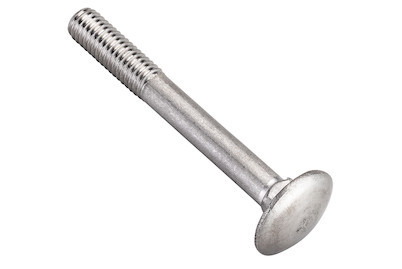 Image of Flachrundschraube rostfrei M6x25 mm 4 Stück bei JUMBO