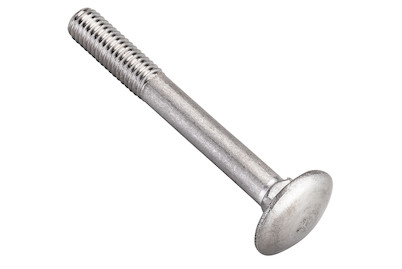 Image of Flachrundschraube rostfrei M6x30 mm 4 Stück bei JUMBO