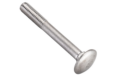 Image of Flachrundschraube rostfrei M6x40 mm 4 Stück bei JUMBO