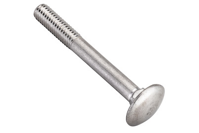 Image of Flachrundschraube rostfrei M6x50 mm 20 Stück bei JUMBO