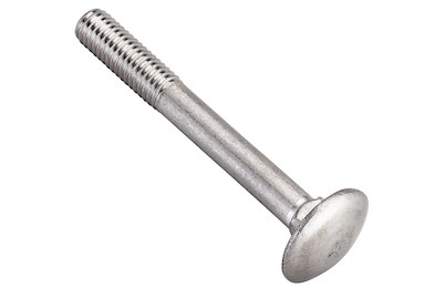 Image of Flachrundschraube rostfrei M8x50 mm 18 Stück bei JUMBO