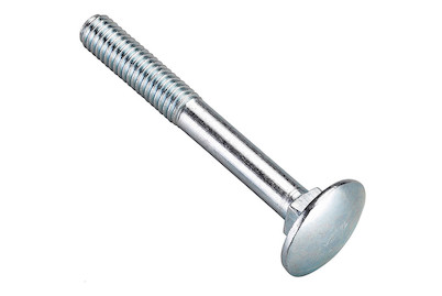 Image of Flachrundschraube verzinkt M8x80 mm 25 Stück bei JUMBO