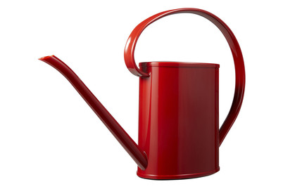 Image of Giesskanne Marissa 1.4 l rubin bei JUMBO