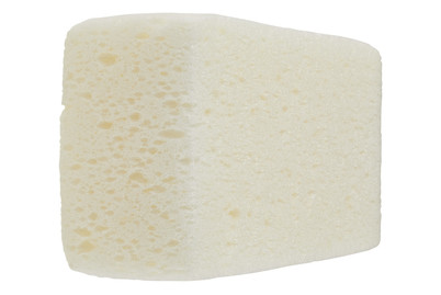 Image of Nigrin Shampooschwamm bei JUMBO