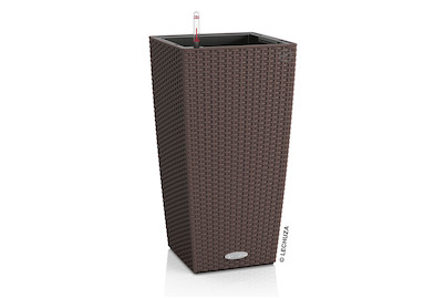 Image of Lechuza Cubico Cottage 30 mocca bei JUMBO