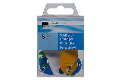 Image of Schlüsselanhänger 5 Stück bei JUMBO