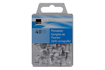 Image of Qualité&Prix Pinnadeln weiss 40 Stück bei JUMBO