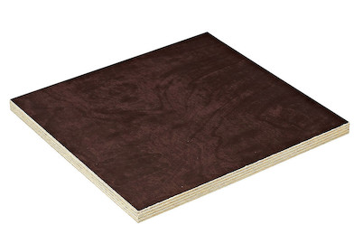 Image of Sperrholz Birke Phenol 1-seitig glatt 15 mm bei JUMBO