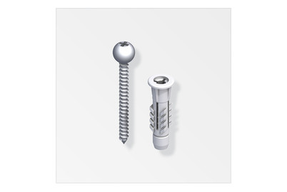Image of Schrauben + Dübel zu Clipstech 4 x 40 mm SB à 5Stk. sachet LS avec 5 pcs. bei JUMBO