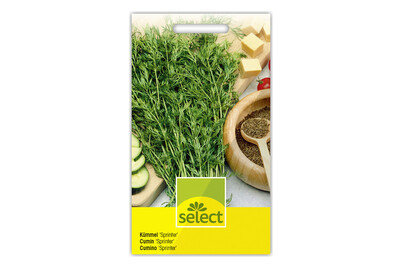 Image of Kümmel Sprinter bei JUMBO