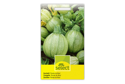 Image of Zucchetti Ronde de Nice bei JUMBO