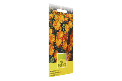 Image of Ringelblume Ringula bei JUMBO